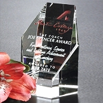 Citadel Award 3-1/4
